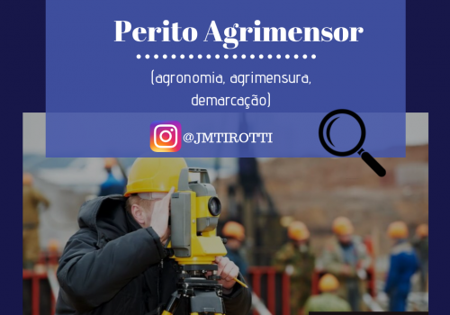 Perito Agrimensor-1573230100.png
